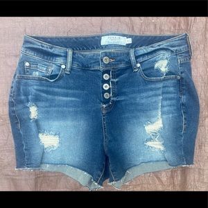 Torrid jean shorts
